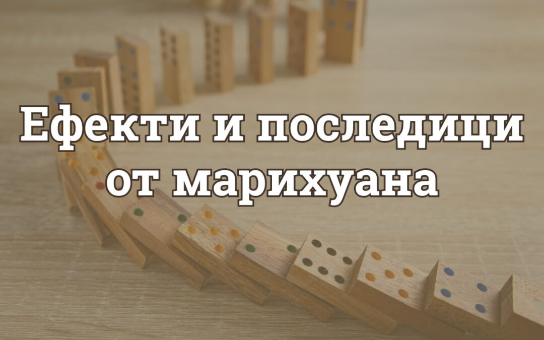 ❗️Ефекти и Последици от Марихуана: Какви са вредите върху тялото, психиката и живота