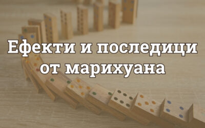 Ефекти и последици от марихуана: какви са вредите върху тялото, психиката и живота?