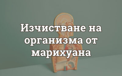 Изчистване на организма от марихуана: какво работи и какво е мит